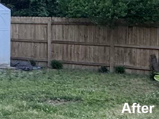 FenceAfter