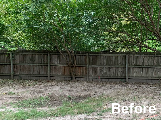 FenceBefore2